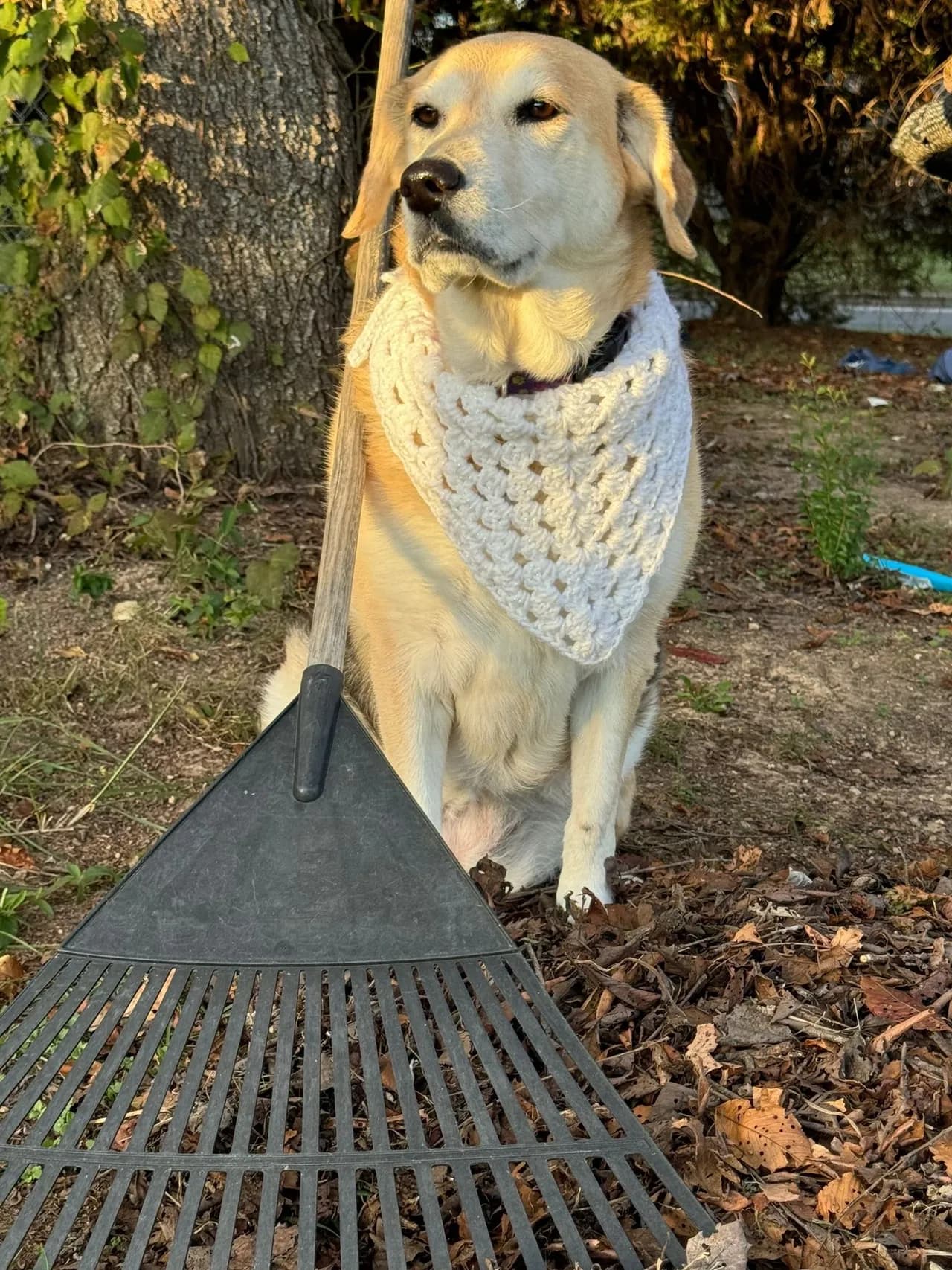 Handmade pet bandana