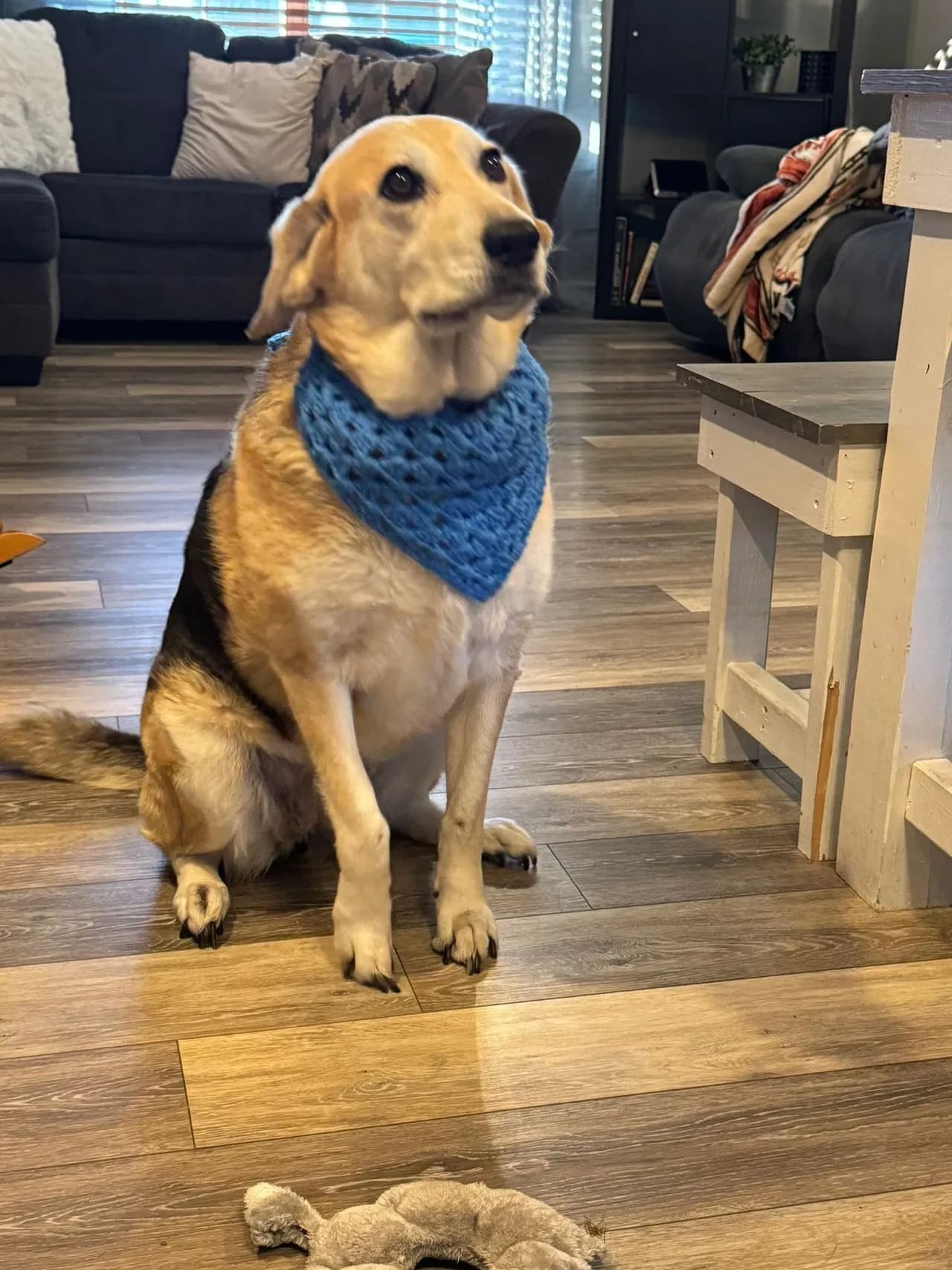 Handmade pet bandana