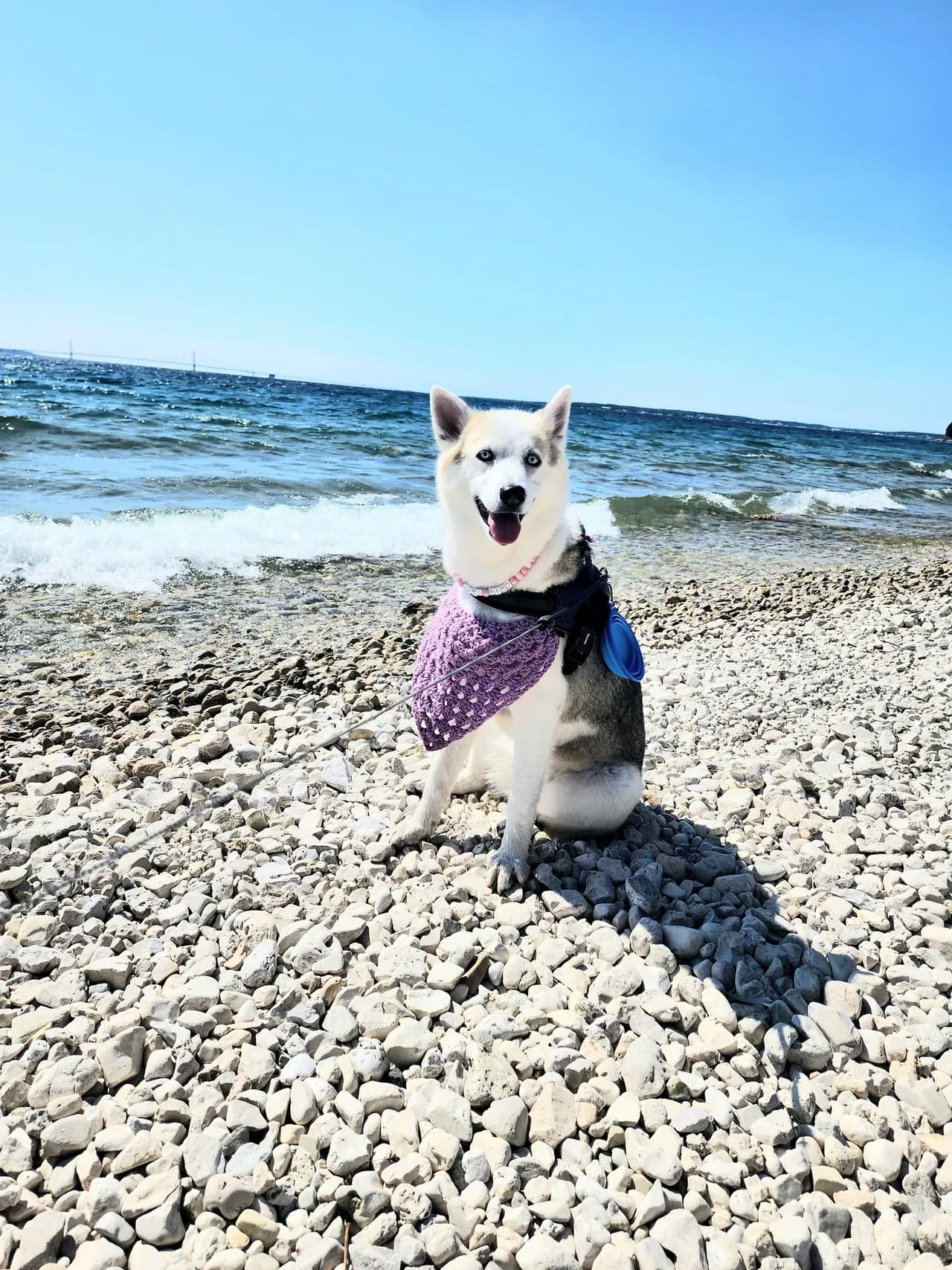 Handmade pet bandana