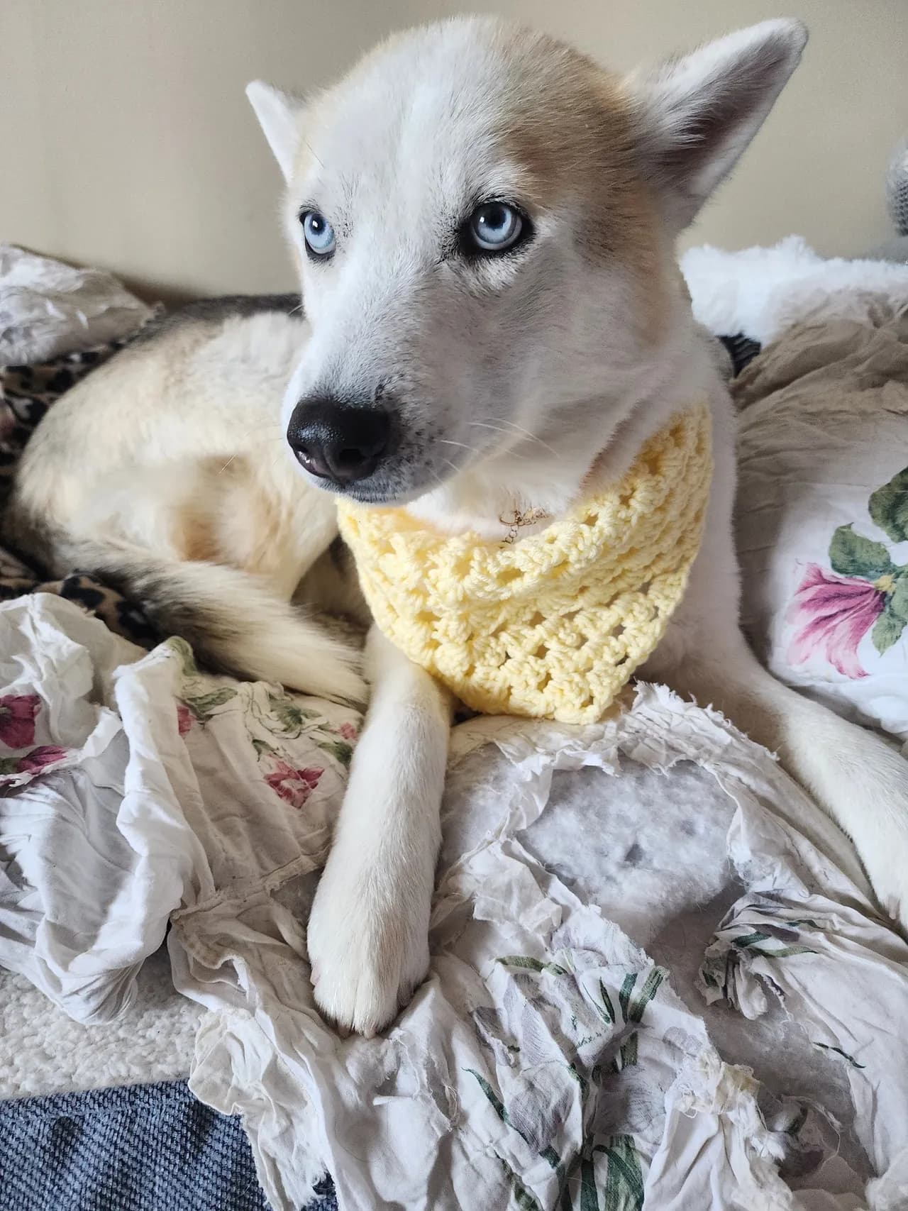 Handmade pet bandana