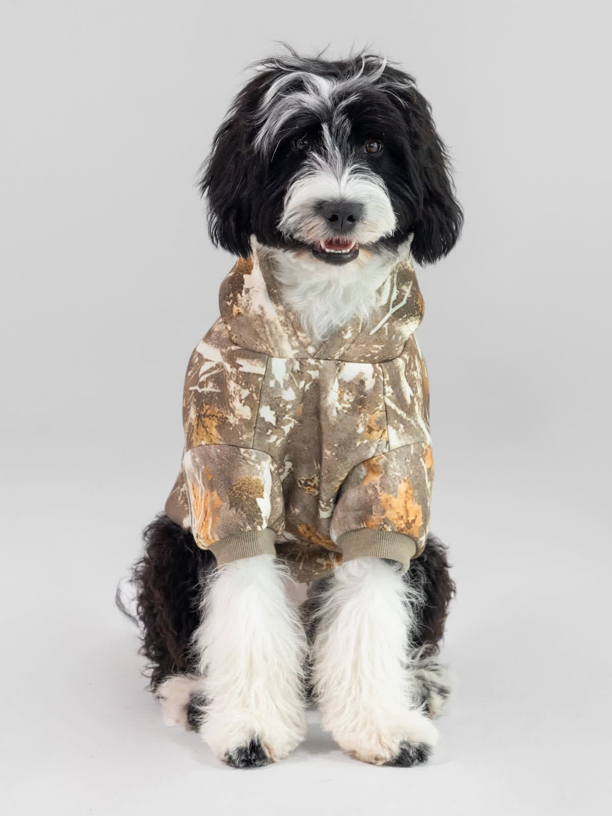 Dog in a Comfrt Camo Paw Hoodie