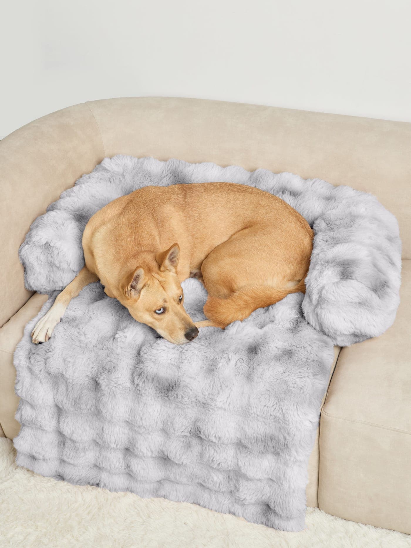 Dog resting on the Comfrt Dream Cloud Pet Sofa Bed
