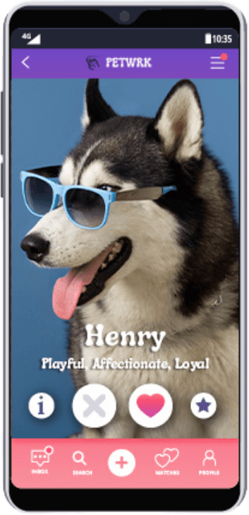 Petwrk app - discover pets